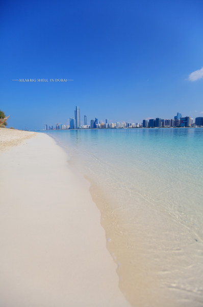 迪拜的旅行vlog,迪拜之旅vlog模板