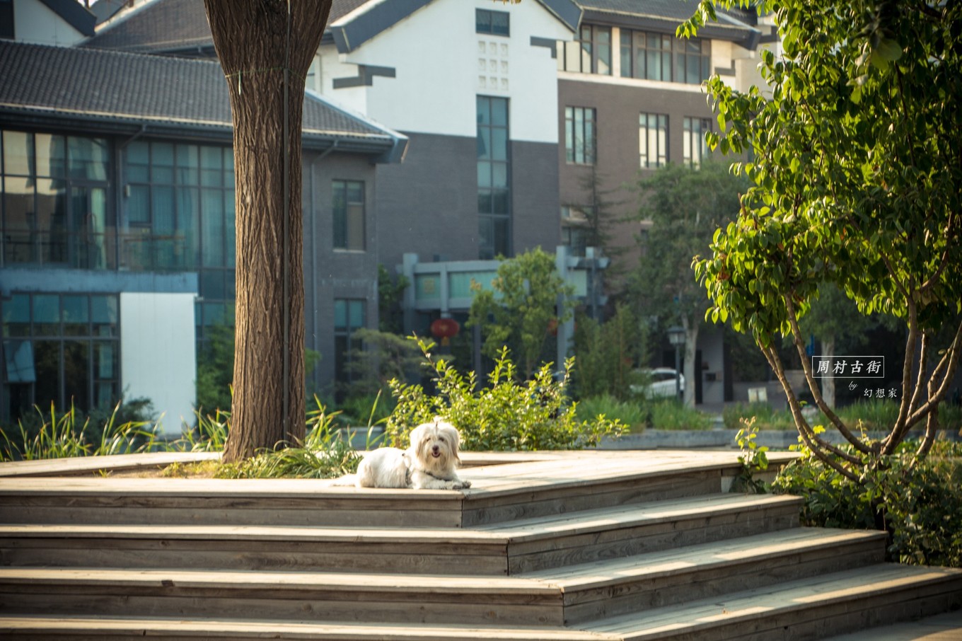 旅行日记青岛,旅行日记凯德mall店