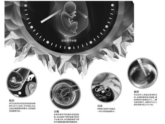 单身女性冻卵事件,单身女性冻卵违法吗