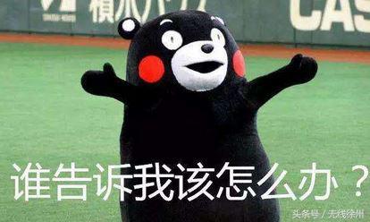 花爷的农村生活,花爷的乡间生活