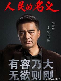 人民的名义祁厅长在剧中多大年纪,人民的名义中祁厅长的婚姻