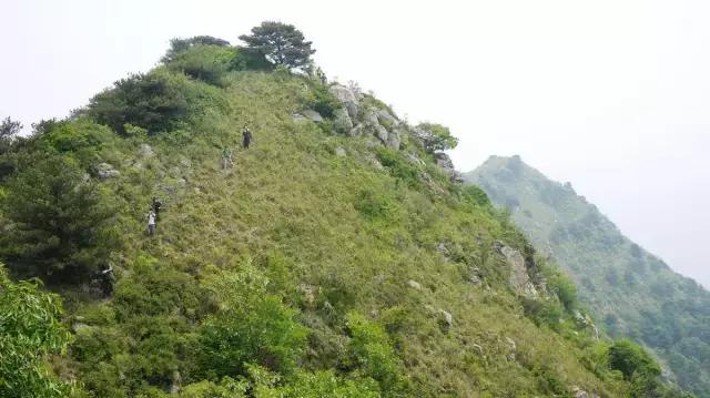 济南春游的好地方推荐,济南适合春游的地方