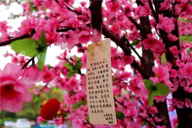 天涯明月刀“一起来相思树下”活动于浙江大学圆满落幕