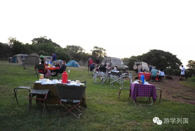 一生必去一次的非洲坦桑尼亚｜回归狂野