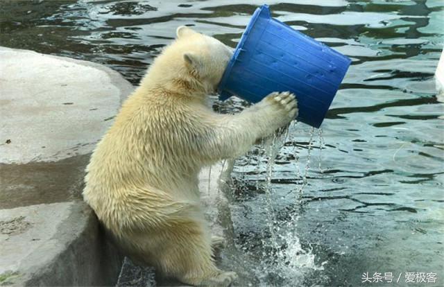 车被强制报废了影响驾驶证吗,车已经被强制报废了会自动销户吗