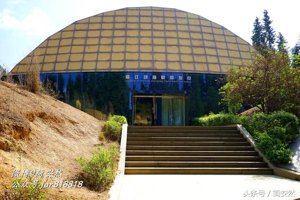 几亿年前海洋生物,生命摇篮澄江老照片