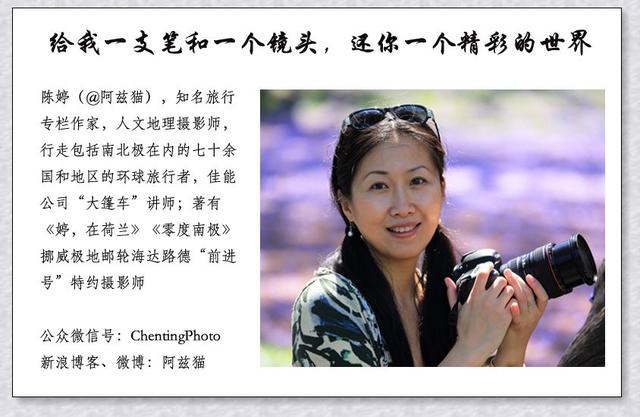 中东荒漠中的“特殊旅行”