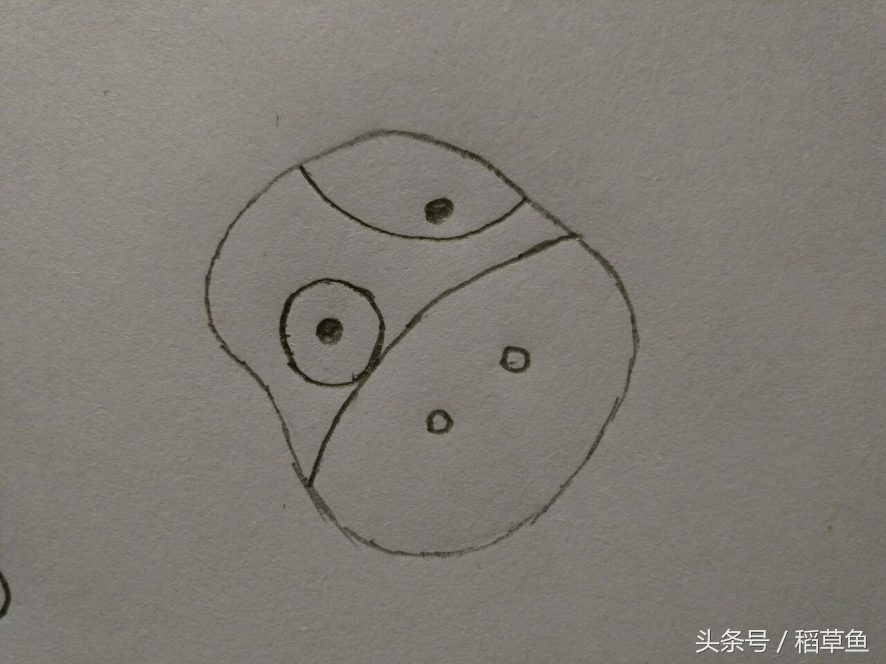 12生肖完整图片马的简笔画,12生肖中的狗简笔画怎么画