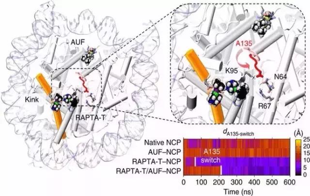 抗肿瘤创新药物,新型强效抗癌药物
