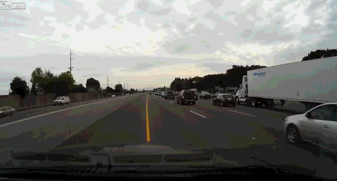 事实证明不能乱写,事实证明不要随便捡东西回家