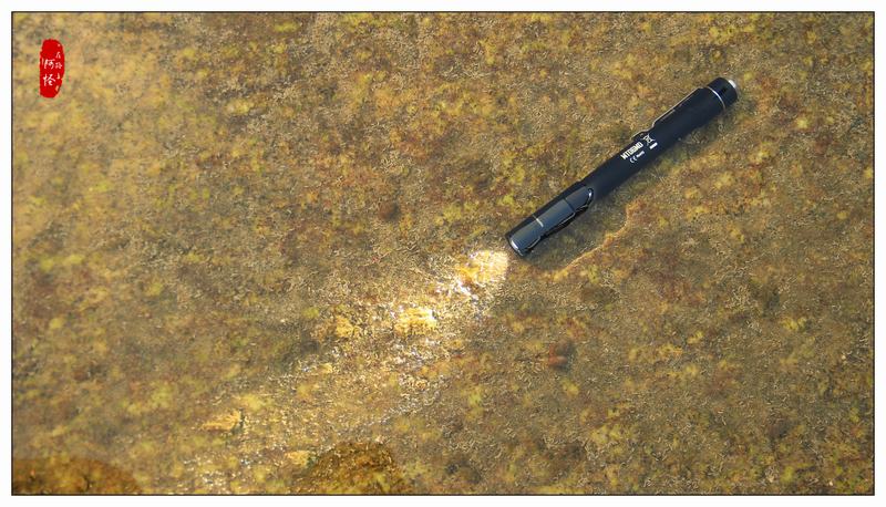 不止于斯-奈特科尔MT06MDEDC手电