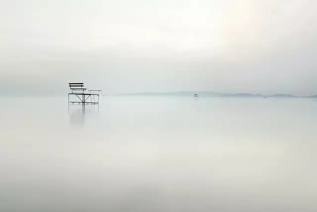 自由是人类最高境界,人类的终极自由就是选择的自由