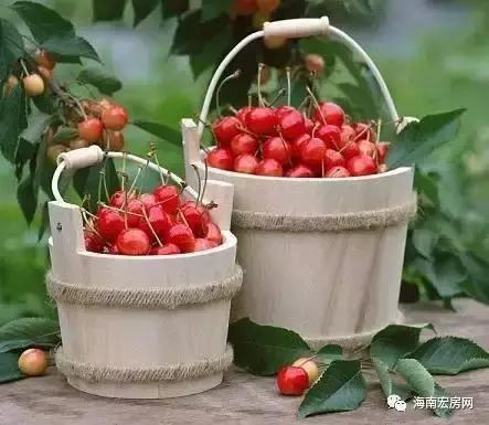 三亚旅游攻略大全景点推荐,海南三亚旅游攻略