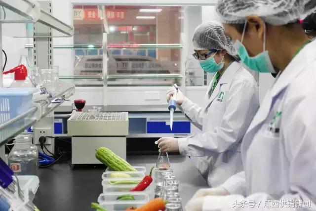 生鲜“防火墙”+保鲜自提柜，新兴供销菜篮子就是这么赞