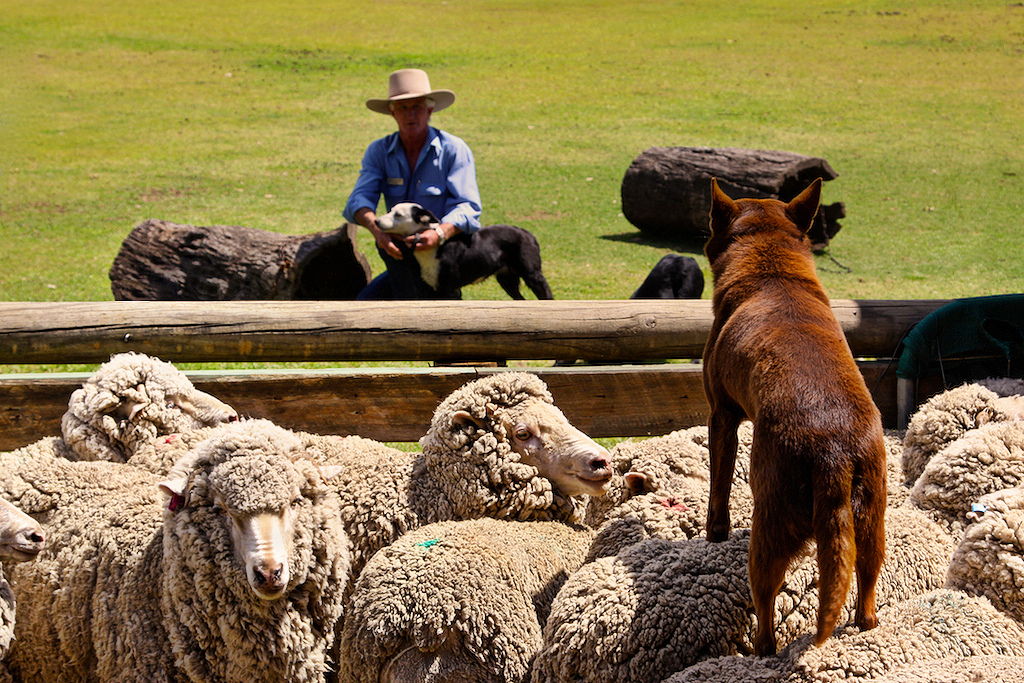 空·客专题：温暖“游”画，度假南半球之淑女游part·1