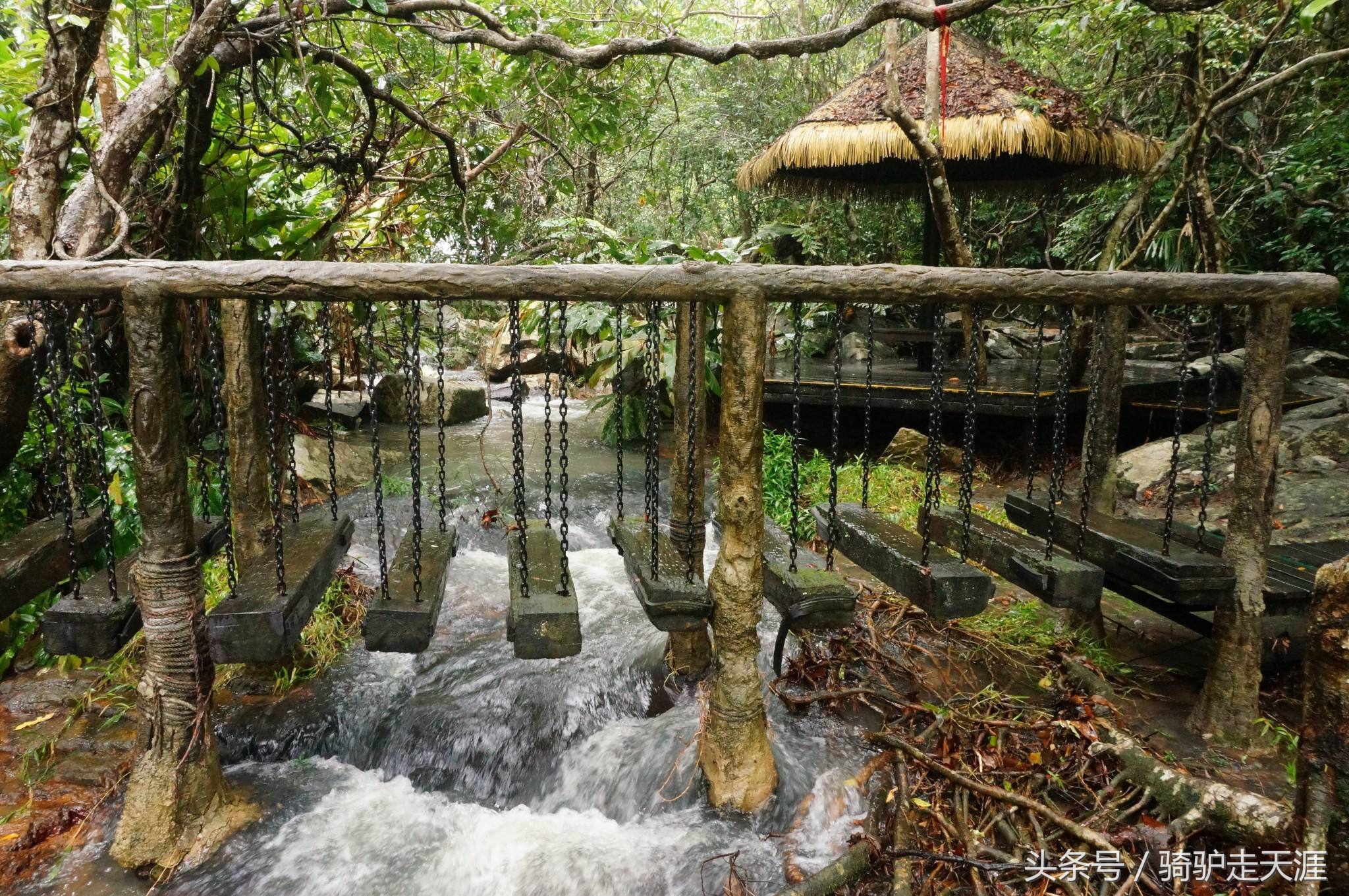 骑驴走天涯完整版,骑驴上三亚