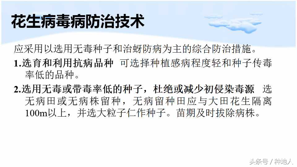 马上开始播种花生,快要种花生了