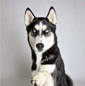 我跟B超杠上了！这一篇是专业性很强的文章！