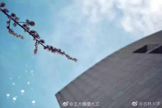 林志玲360无死角是真的美,全球最美360无死角的美女