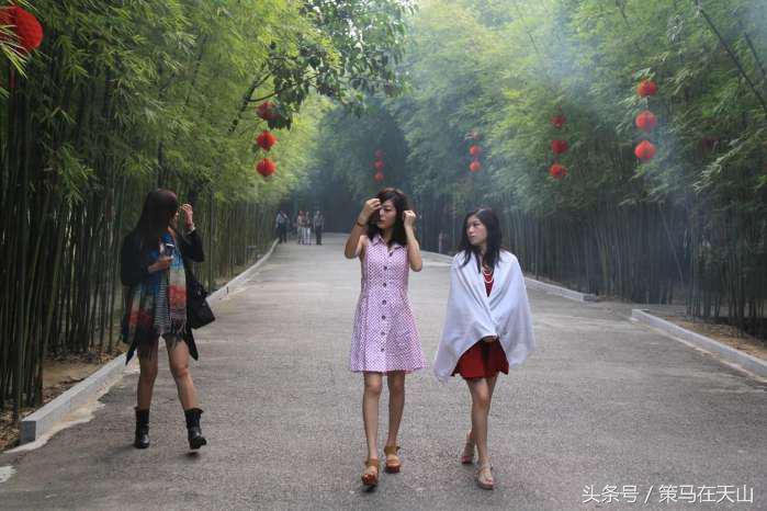 深圳周边竹海,广宁竹海中国四大竹子之乡