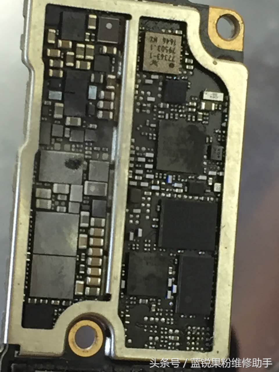 iphone7plus进水屏幕会干嘛,iphone7plus进水坏了怎么办