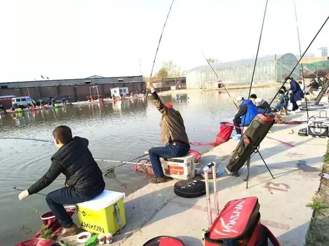 河北垂钓大赛,河北省第十六届省运会钓鱼比赛