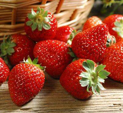 河北保定雄安新区吃饭,保定哪离雄安新区比较近