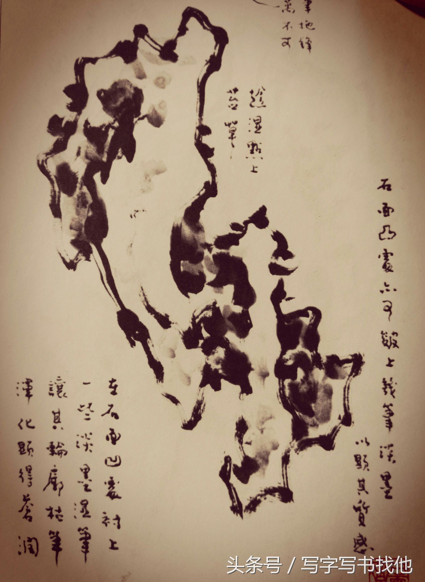 画湖石的每个步骤和技巧以及注意事项，全在这里