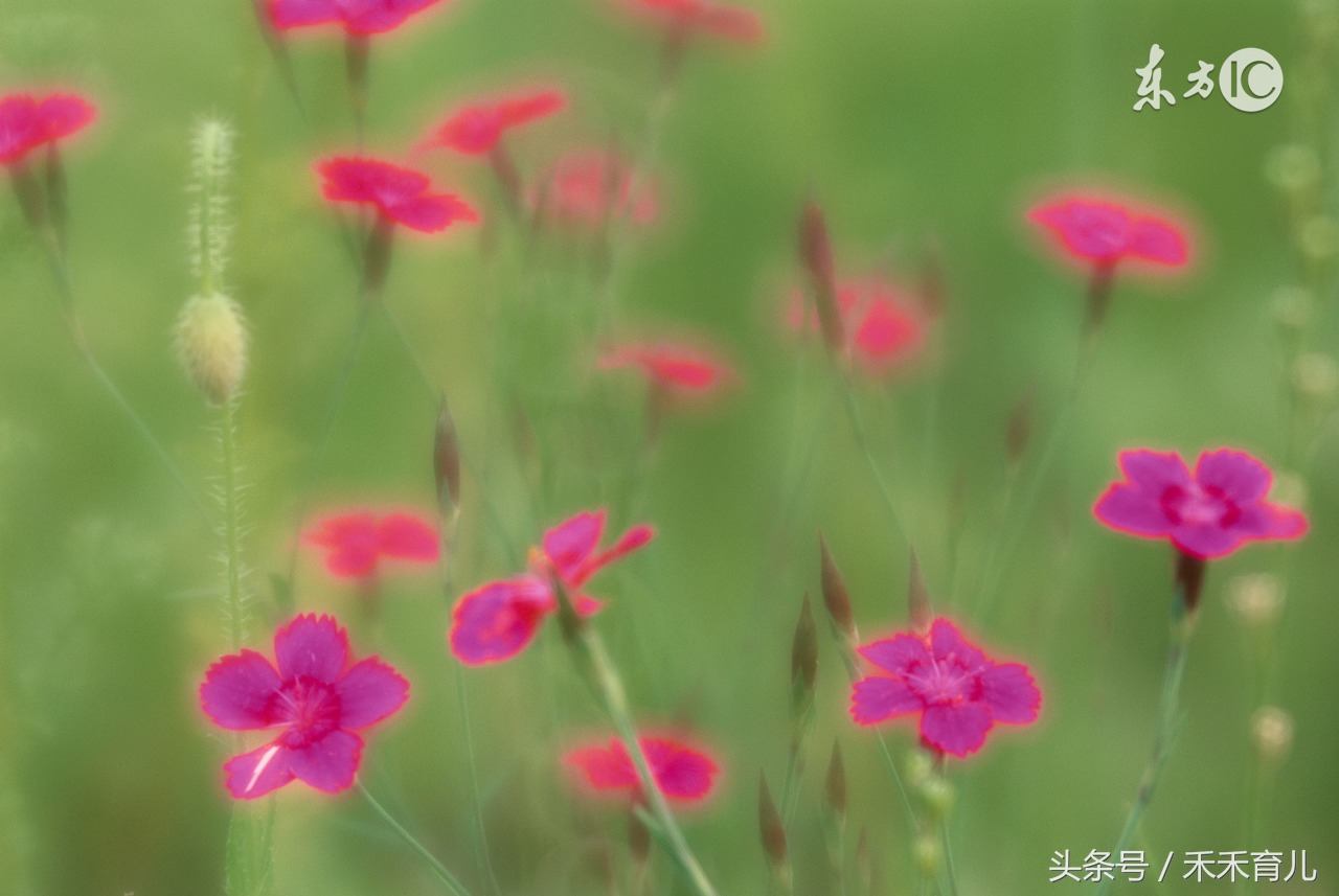 女宝宝好听的月份名字,四五月出生虎宝宝名字