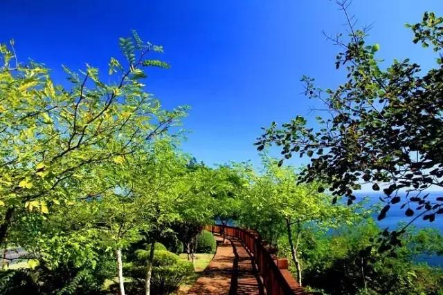 武汉⇋珠海高铁今日开通！这个春天，一起去感受那些美哭的风景！