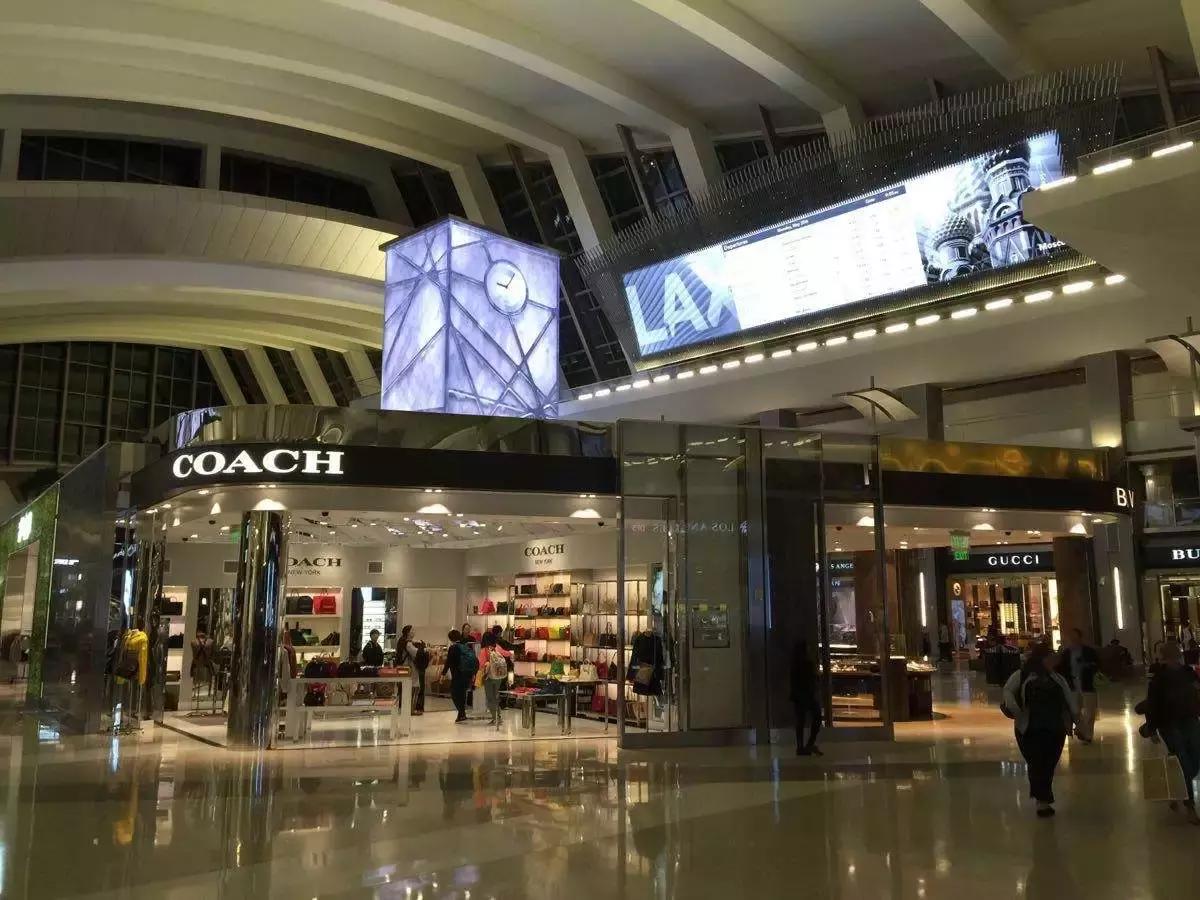 速八为什么突然火了,速八为什么有5个人