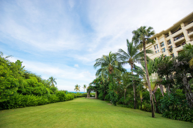 蓝天白云,椰风海韵,去三亚散散心吧