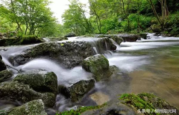 柳江区哪个镇最好,柳江区有好的发展吗