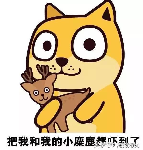 苏牧和喜乐蒂该选择谁,喜乐蒂和苏牧什么关系