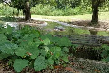 长隆野生动物园一天怎么玩,长隆野生动物园一天游不完怎么住