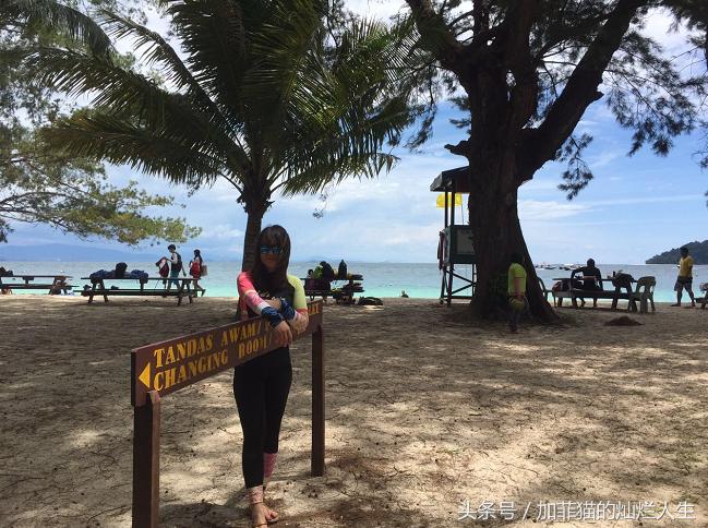 马来西亚亚庇到美人鱼岛,亚庇美人鱼岛游记