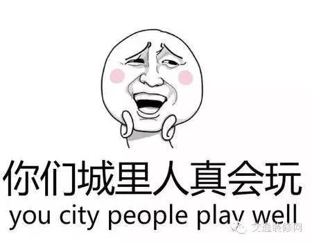 2015年中国十大网络热词,十大网络热词2015