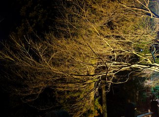 与日本冬天不期而遇在哪,与日本冬天不期而遇后续