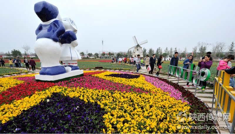 西咸新区泾河新城花展,泾河花博会