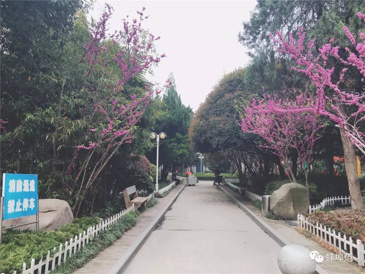 皖北最好的医院,蚌埠淮委医院厉害吗