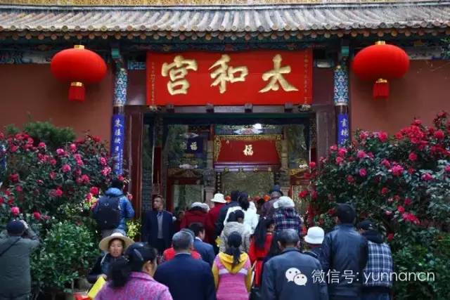 大理人怎么在大理旅游,大理人出游一般去哪里