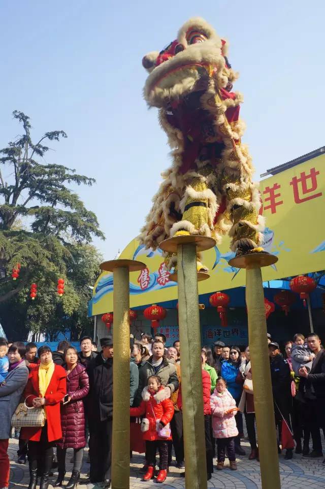 东湖海洋世界和海昌极地海洋公园,武汉东湖海洋世界和极地哪个好玩