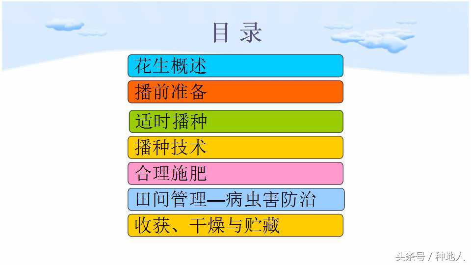 马上开始播种花生,快要种花生了