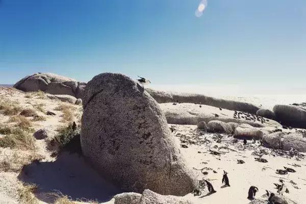 为什么选择去南非留学,为什么要去南非旅行