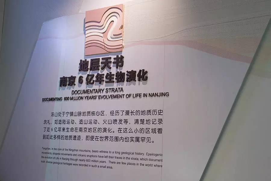 探寻人类的起源之谜,探寻人类祖先的奥秘