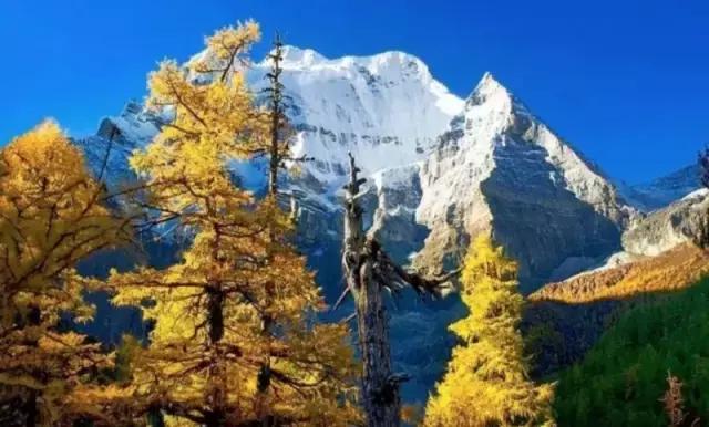 行，方知天上人间