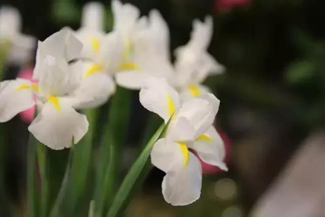 宜昌居然还有这样“见不得人”的花花世界？