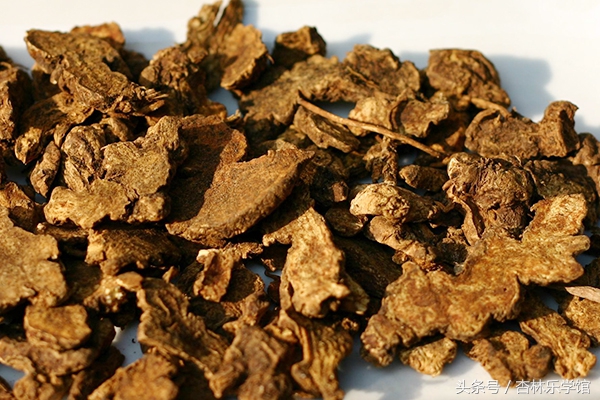 金匮要略湿热下注治脚气,中医治疗寒湿脚气医案