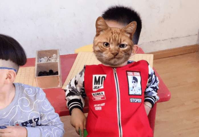 小学生未实名认证怎么进王者荣耀,王者荣耀怎么重新实名认证小学生