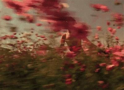 拯救你的窝!花最少钱拥有蓝胖子口袋的收纳神器大出10㎡+空间